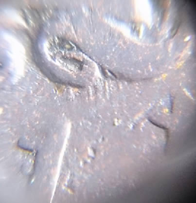 1851-Large-Cent-Newcomb?